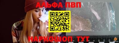 a pvp Кингисепп