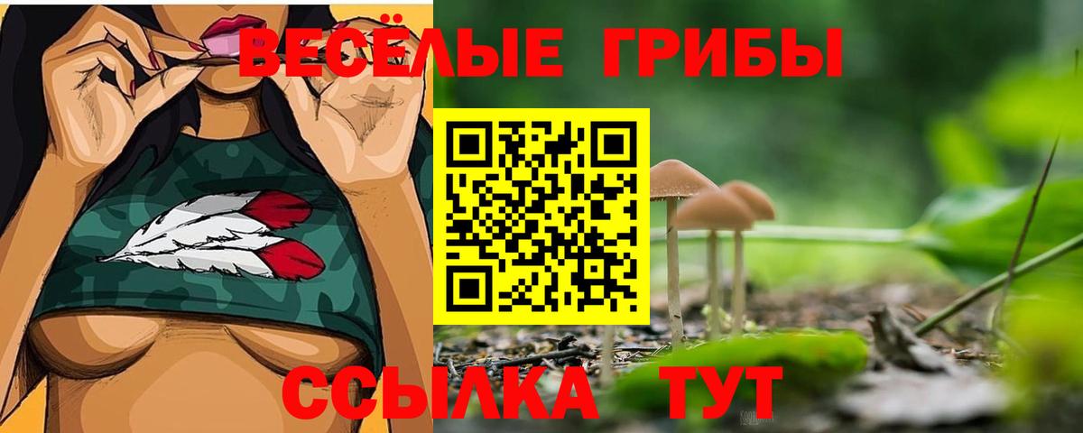 купить закладку  Вход с VPN  Чернушка  Псилоцибиновые грибы мицелий 